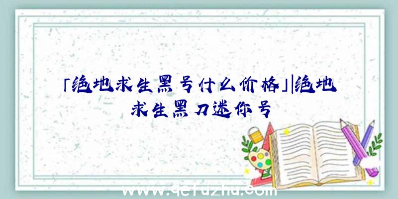 「绝地求生黑号什么价格」|绝地求生黑刀迷你号